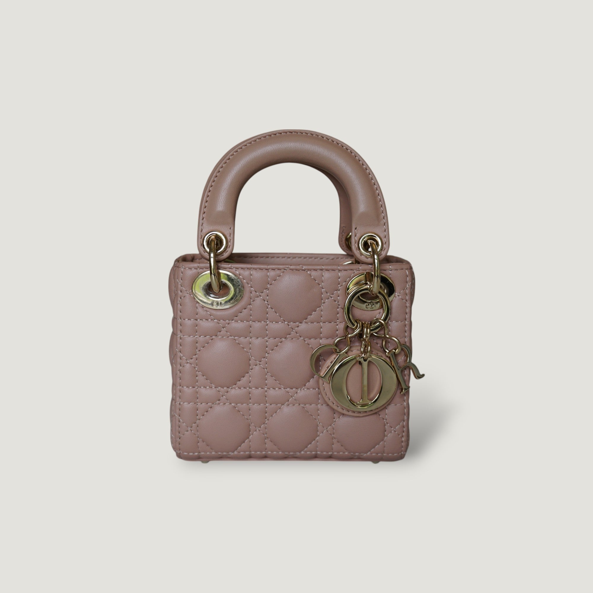 Dior Lady Dior Leather Handbag Handbag