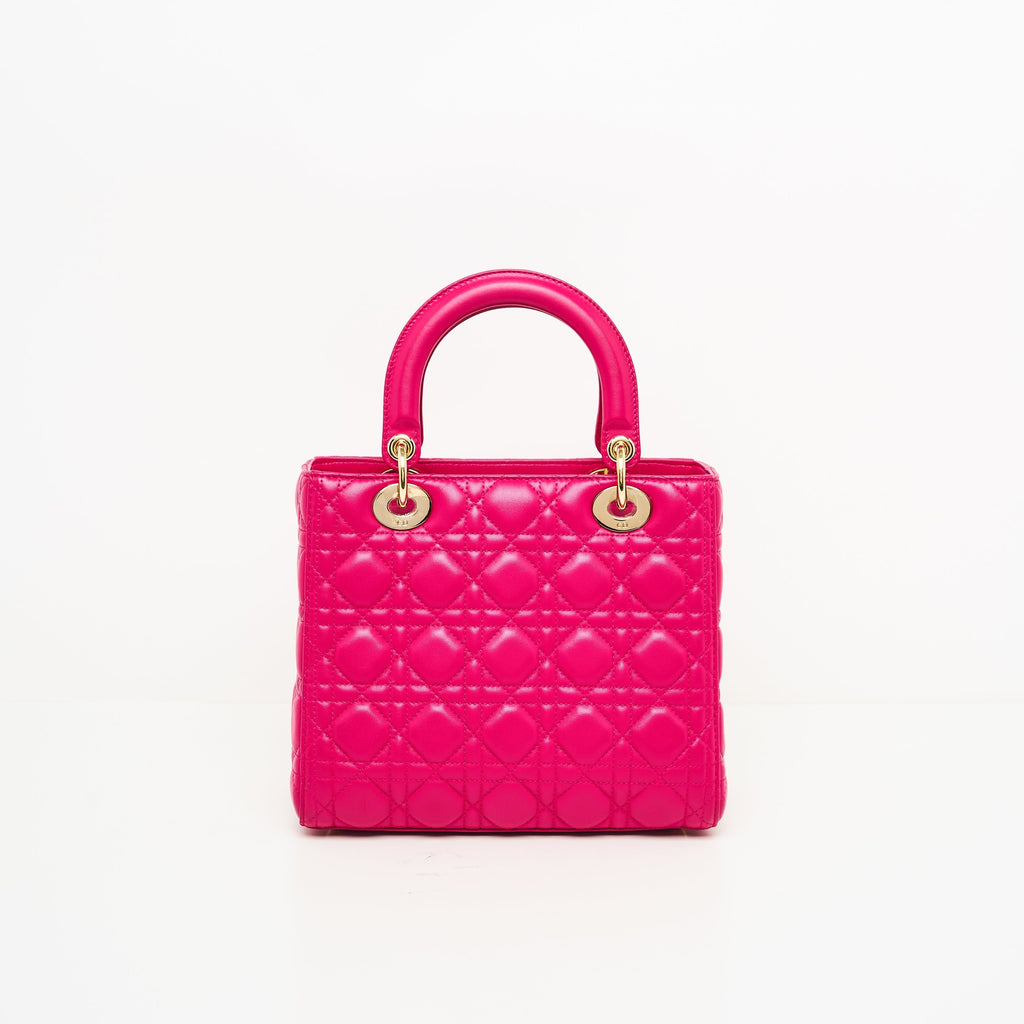 Dior Lady Dior Lou Leather Handbag